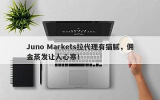 Juno Markets拉代理有猫腻，佣金蒸发让人心寒！