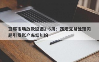 蓝莓市场放款延迟2-6周：违规交易处理问题引发账户冻结纠纷