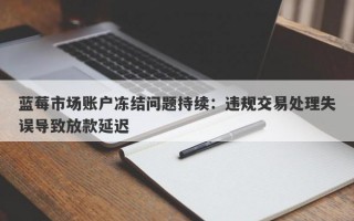 蓝莓市场账户冻结问题持续：违规交易处理失误导致放款延迟