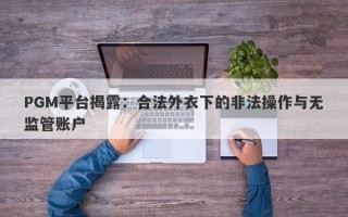 PGM平台揭露：合法外衣下的非法操作与无监管账户