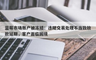 蓝莓市场账户被冻结：违规交易处理不当致放款延期，客户面临困境