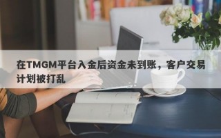 在TMGM平台入金后资金未到账，客户交易计划被打乱