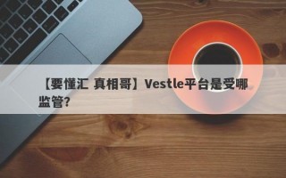 【要懂汇 真相哥】Vestle平台是受哪监管？
