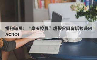 揭秘骗局！“摩石控股”虚假官网背后抄袭MACRO！