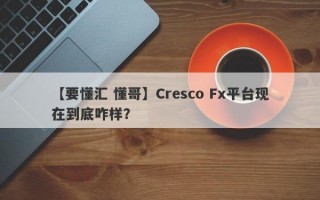 【要懂汇 懂哥】Cresco Fx平台现在到底咋样？

