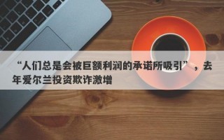 “人们总是会被巨额利润的承诺所吸引”，去年爱尔兰投资欺诈激增