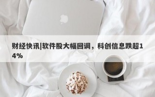 财经快讯|软件股大幅回调，科创信息跌超14%