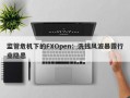 监管危机下的FXOpen：洗钱风波暴露行业隐患