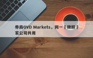 券商GVD Markets，同一張牌照兩家公司共用