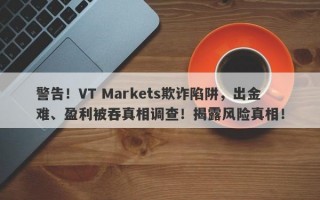 警告！VT Markets欺诈陷阱，出金难、盈利被吞真相调查！揭露风险真相！