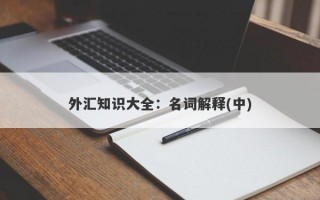 外汇知识大全：名词解释(中)