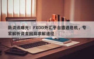 新资讯曝光！FXDD外汇平台遭遇危机，专家解析资金困局求解途径