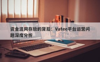 资金混同存放的背后：Vatee平台运营问题深度分析