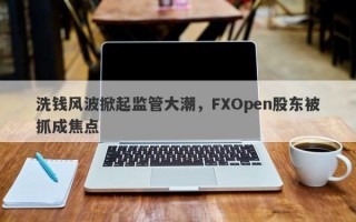 洗钱风波掀起监管大潮，FXOpen股东被抓成焦点