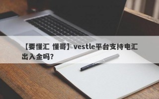 【要懂汇 懂哥】vestle平台支持电汇出入金吗？
