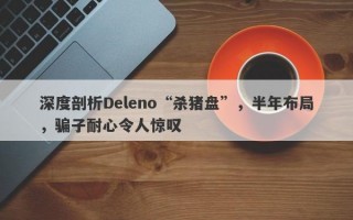 深度剖析Deleno“杀猪盘”，半年布局，骗子耐心令人惊叹