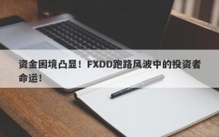 资金困境凸显！FXDD跑路风波中的投资者命运！