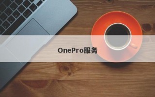 OnePro服务