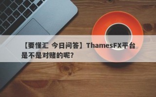 【要懂汇 今日问答】ThamesFX平台是不是对赌的呢？
