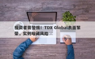 投资者需警惕！TDX Global表面繁荣，实则暗藏风险