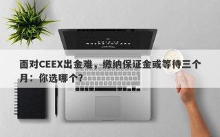 面对CEEX出金难，缴纳保证金或等待三个月：你选哪个？