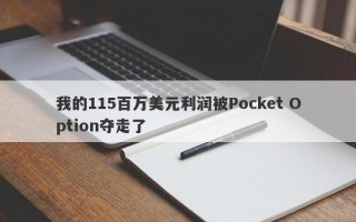 我的115百万美元利润被Pocket Option夺走了