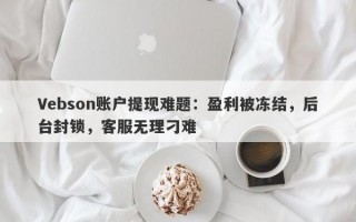 Vebson账户提现难题：盈利被冻结，后台封锁，客服无理刁难