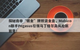 探秘南非“镀金”牌照资金盘，Mabicon联手Pegasus引领马丁格尔高风险新篇章！