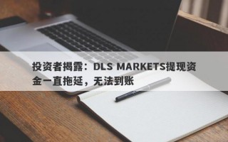 投资者揭露：DLS MARKETS提现资金一直拖延，无法到账