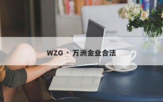 WZG · 万洲金业合法