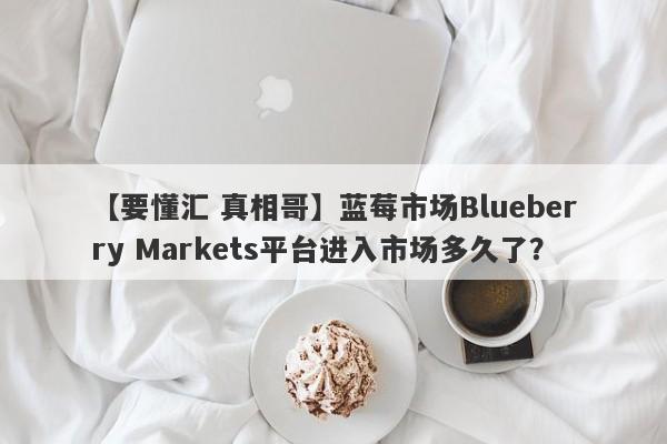 【要懂汇 真相哥】蓝莓市场Blueberry Markets平台进入市场多久了？
-第1张图片-要懂汇圈网