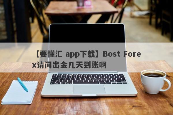 【要懂汇 app下载】Bost Forex请问出金几天到账啊
-第1张图片-要懂汇圈网