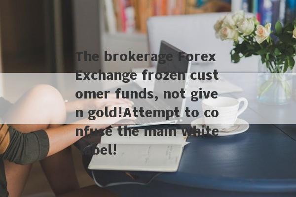 The brokerage Forex Exchange frozen customer funds, not given gold!Attempt to confuse the main white label!-第1张图片-要懂汇圈网