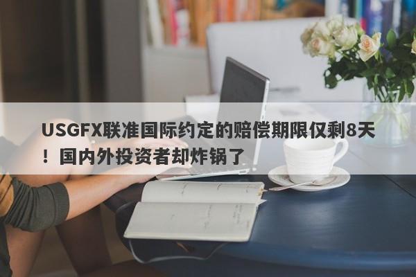 USGFX联准国际约定的赔偿期限仅剩8天！国内外投资者却炸锅了-第1张图片-要懂汇圈网