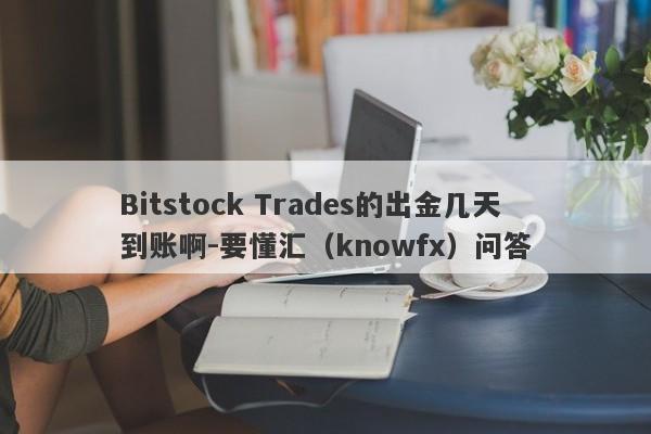 Bitstock Trades的出金几天到账啊-要懂汇（knowfx）问答-第1张图片-要懂汇圈网
