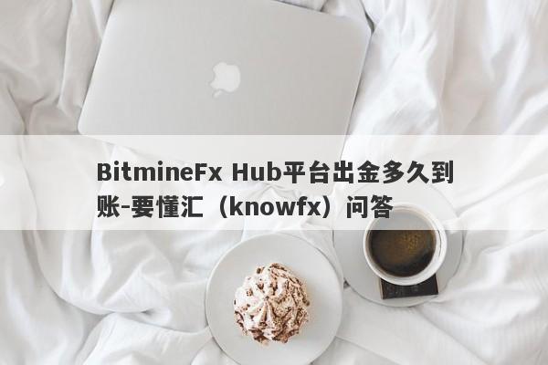 BitmineFx Hub平台出金多久到账-要懂汇（knowfx）问答-第1张图片-要懂汇圈网