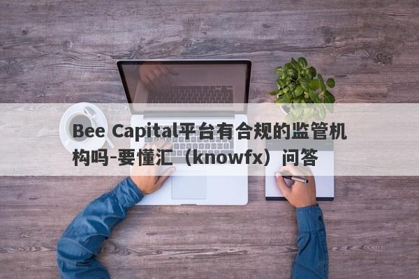 Bee Capital平台有合规的监管机构吗-要懂汇（knowfx）问答-第1张图片-要懂汇圈网