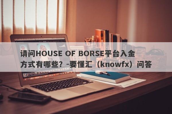 请问HOUSE OF BORSE平台入金方式有哪些？-要懂汇（knowfx）问答-第1张图片-要懂汇圈网