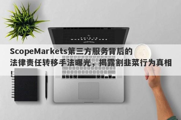 ScopeMarkets第三方服务背后的法律责任转移手法曝光，揭露割韭菜行为真相！-第1张图片-要懂汇圈网