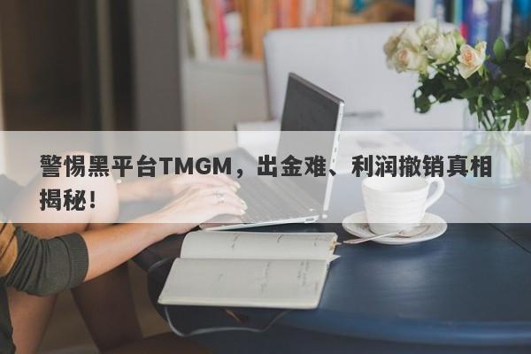 警惕黑平台TMGM，出金难、利润撤销真相揭秘！-第1张图片-要懂汇圈网