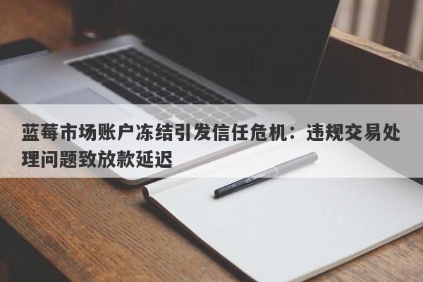 蓝莓市场账户冻结引发信任危机：违规交易处理问题致放款延迟-第1张图片-要懂汇圈网