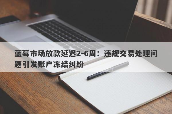 蓝莓市场放款延迟2-6周：违规交易处理问题引发账户冻结纠纷-第1张图片-要懂汇圈网