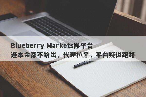 Blueberry Markets黑平台连本金都不给出，代理拉黑，平台疑似跑路-第1张图片-要懂汇圈网