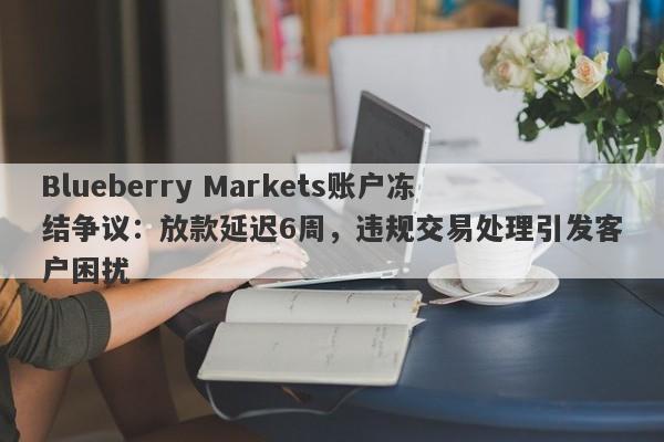 Blueberry Markets账户冻结争议：放款延迟6周，违规交易处理引发客户困扰-第1张图片-要懂汇圈网