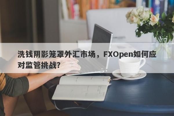 洗钱阴影笼罩外汇市场，FXOpen如何应对监管挑战？-第1张图片-要懂汇圈网