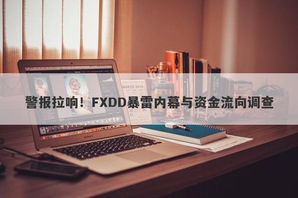 警报拉响！FXDD暴雷内幕与资金流向调查-第1张图片-要懂汇圈网