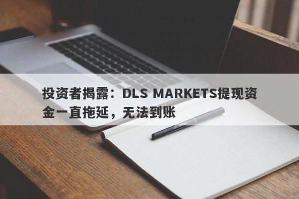 投资者揭露：DLS MARKETS提现资金一直拖延，无法到账-第1张图片-要懂汇圈网